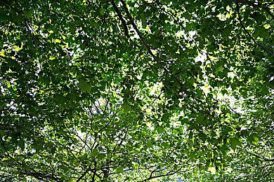 开发团队Mundfish分享《原子之心》游戏细节 音乐、怪物及过场